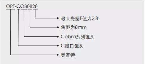 AG真人平台(中国)官方网站