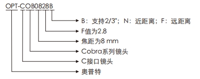 AG真人平台(中国)官方网站